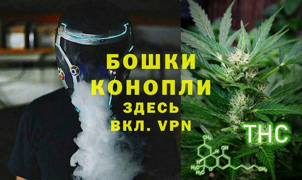 дживик Баксан