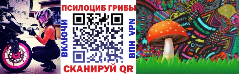 Купить  Славгород  Псилоцибиновые грибы Magic Shrooms 