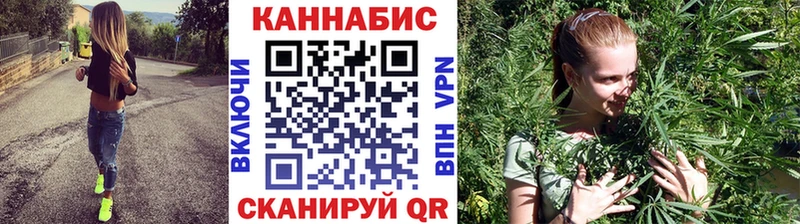 Купить где  Славгород  Конопля ГИДРОПОН 